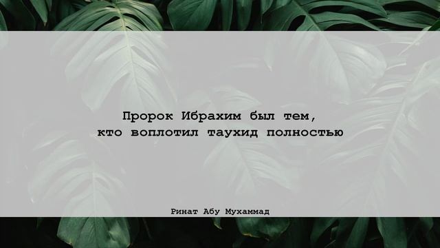 Пророк Ибрахим был тем, кто воплотил таухид полностью | Ринат абу Мухаммад