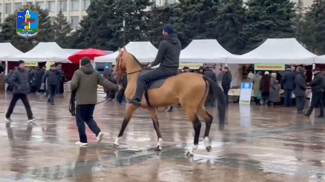 Сельскохозяйственная ярмарка в Махачкале. Дагестан. Агульский район.