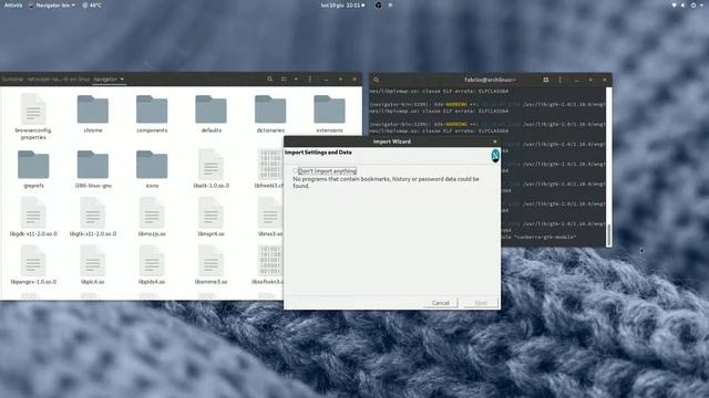 Launch Netscape 9 on Arch Linux (gtk error)