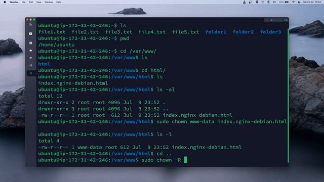 Perintah Linux | cara mengganti pemilik file dan folder di Linux dengan chown dan chgrp