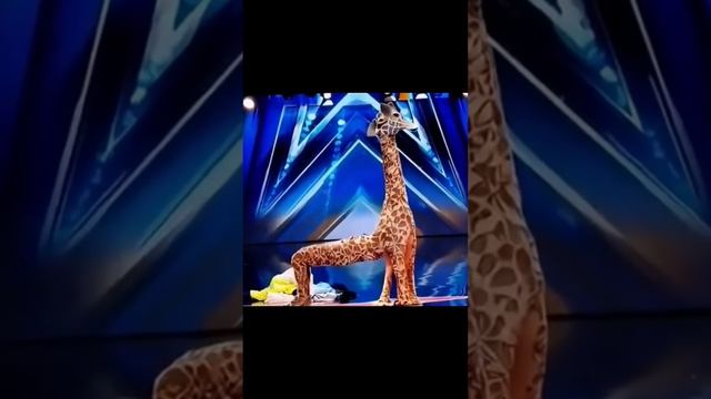 America's Got Talent Giraffe 🦒 Magic😱😨 ｜ Duo Schumacher#AGT#americagottalent#magic