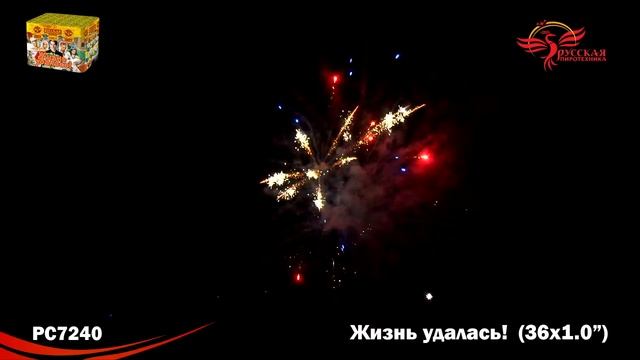 Фейерверк 
Жизнь удалась! (1" х 36)