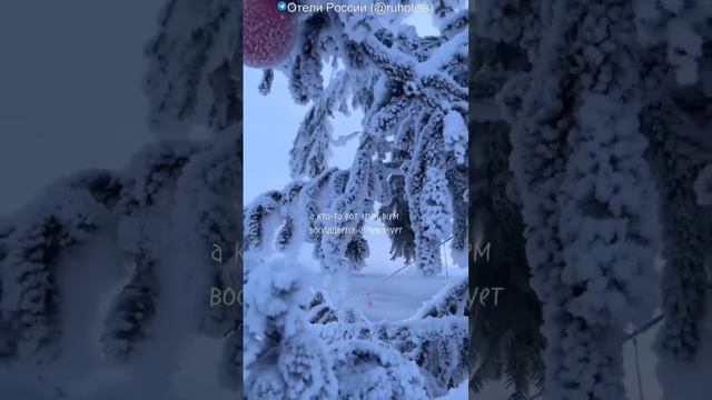 Отель Финвал Териберка - в уникальном уголке России, в 130 км от Мурманска