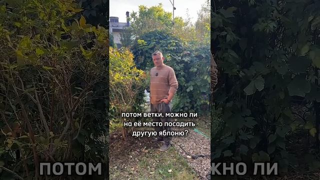 ЯБЛОНЕ ТАК НЕ ДЕЛАЙТЕ, а вот сирень обрезать можно