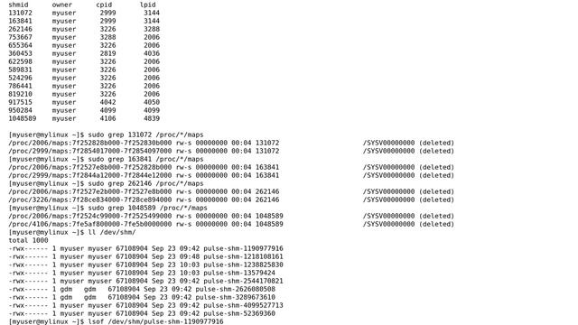 Information About Named Shared Memory in /dev/shm