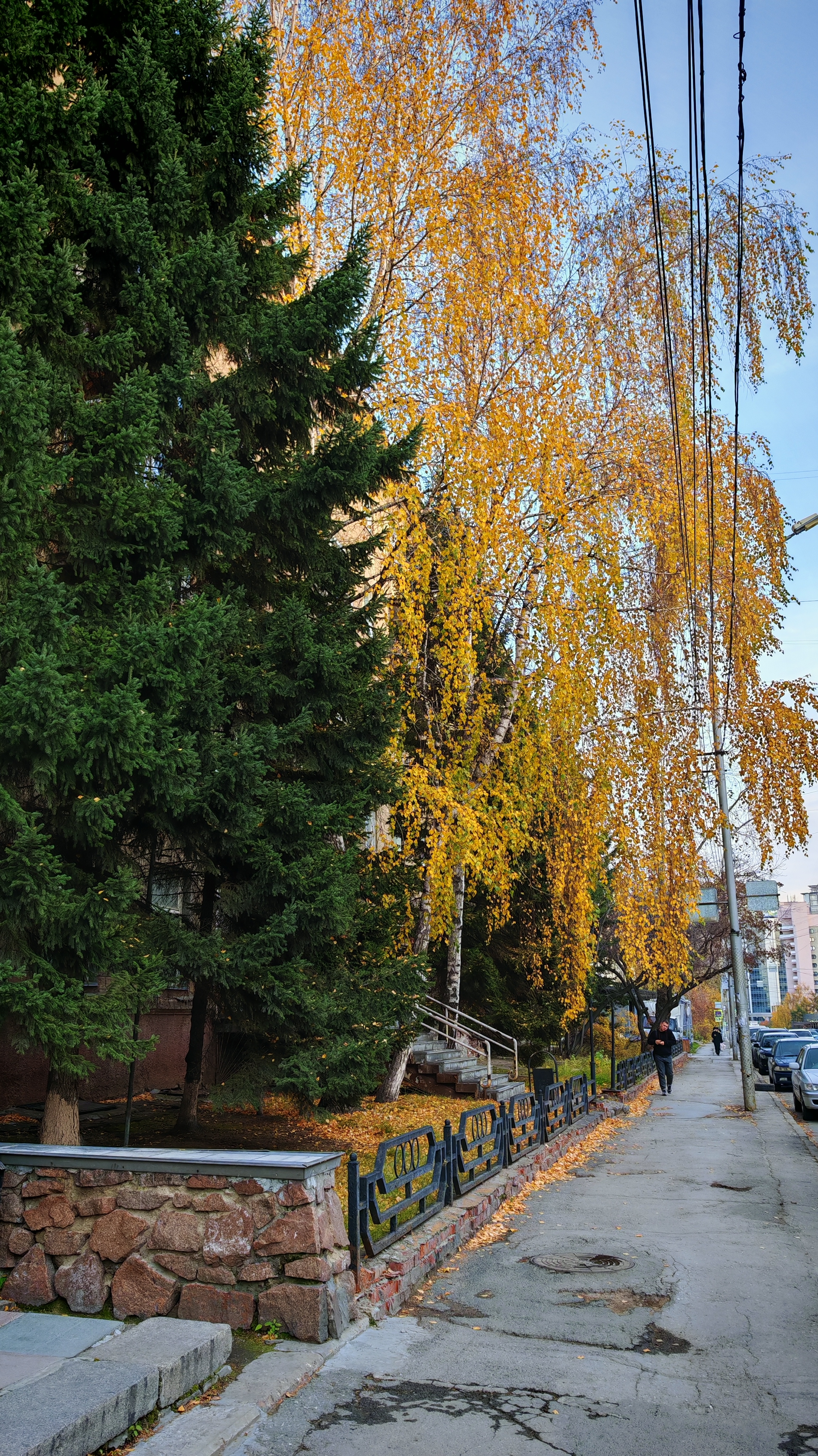 Не реклама, просто красиво 😍