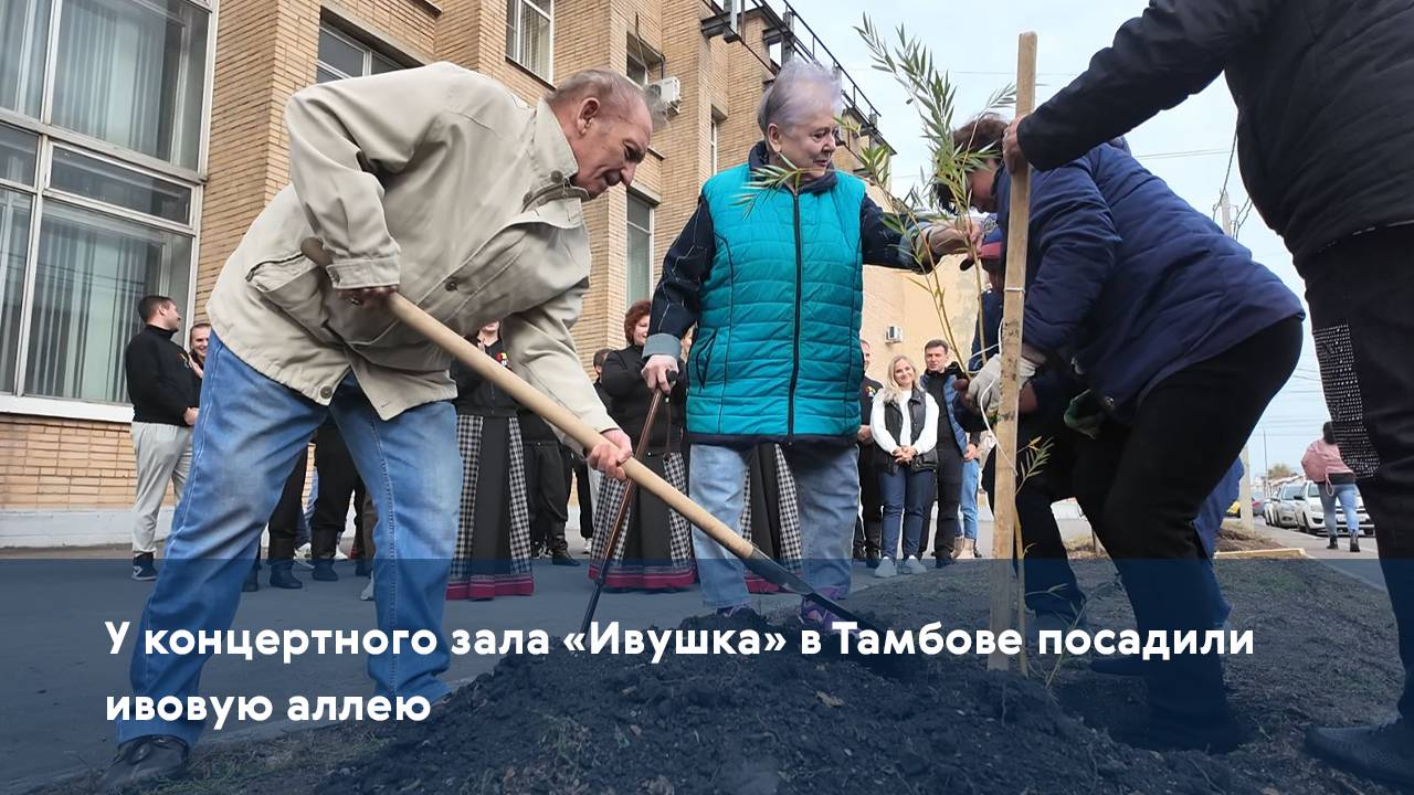 У концертного зала «Ивушка» в Тамбове посадили ивовую аллею