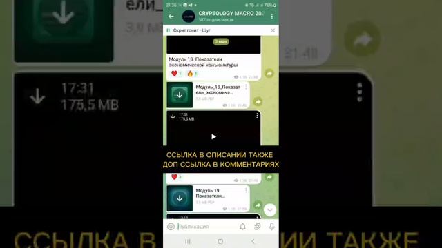 Слив курса Cryptology MACRO PRO 2024 Обучение Криптология МАКРО ПРО полный курс Cryptology MACRO PRO