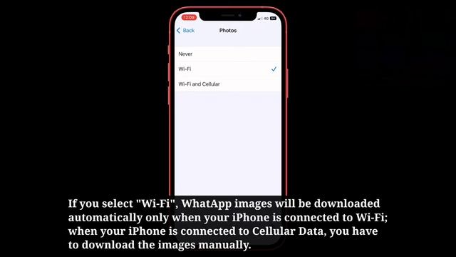 WhatsApp Images Not Showing in Gallery on iPhone iOS 18 (Fixed)