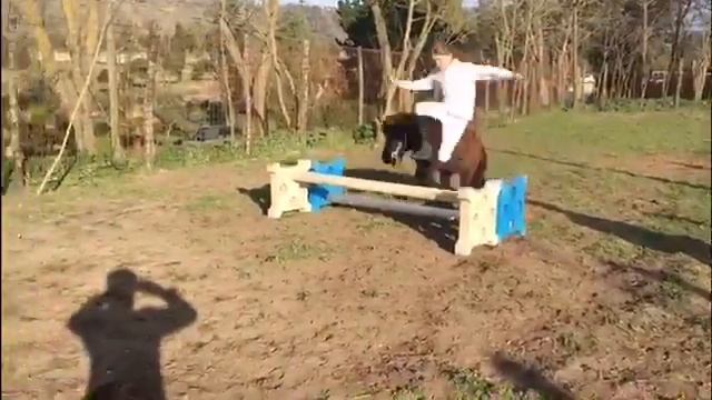 Agility pony al Centro Ippico La Vega