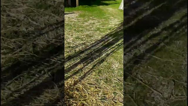 где ваши смартфоны