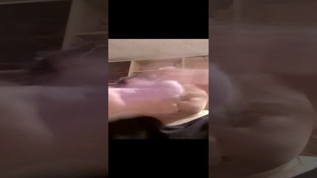 Таба лапка.
