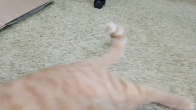 окей