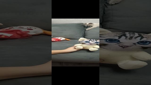 1000007803.mp4