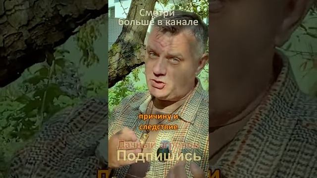 ВСЕ делают ЭТУ ГУПОСТЬ! Мох и лишайник на дереве