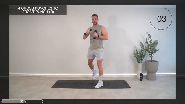 30 MIN CARDIO X HIIT - ALL STANDING & NO JUMPING   With light weights (No Repeat, At Home)