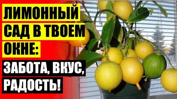 ❗ Как вырастить лимоны