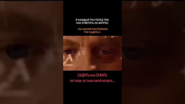 Садить или сажать
