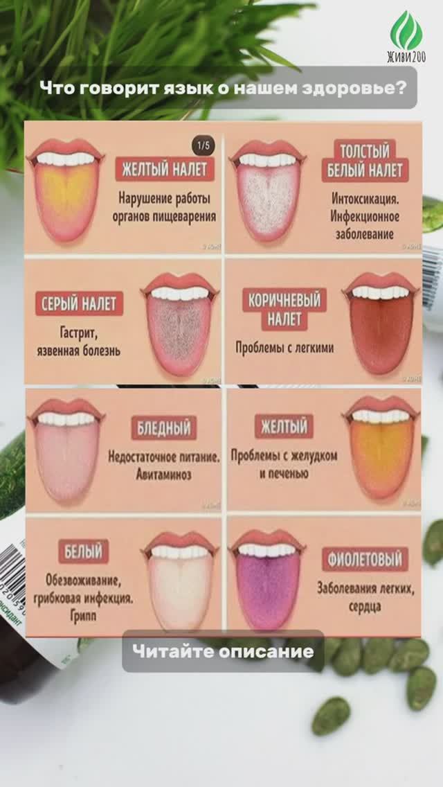 ЧТО ГОВОРИТ ЯЗЫК О НАШЕМ ЗДОРОВЬЕ❓👇🏻