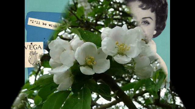 Rosemary June  ♥ In Apple Blossom Time ♥