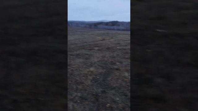 Красота.
