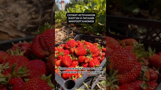 Друзья, в коротком видео сложно дать инфо, подписывайтесь в ВК, Инста или Dzen. Ссылки в профиле