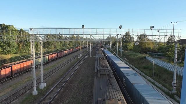 Электропоезд ЭД4М-0447 ЦППК станция Ворсино
