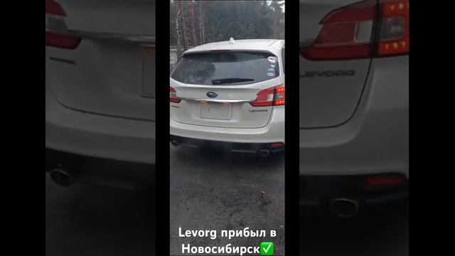 Авто из Японии. Subaru levorg в Новосибирск. Отзыв  #аукцион #zakazkrsk #автозаказ #автоизяпонии