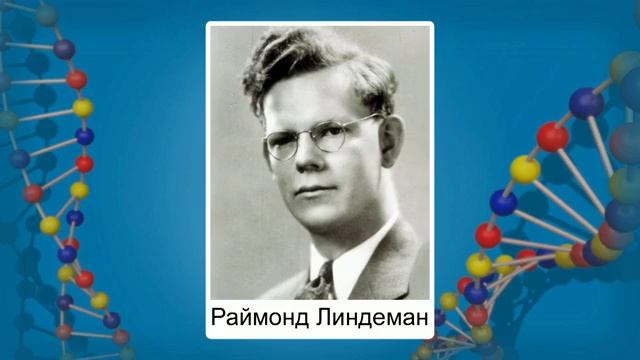 18. Трофические связи в биоценозе