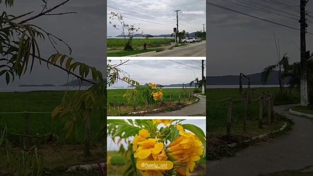 1000155387.mp4
