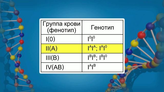 05. Множественные аллели. Анализирующее скрещивание