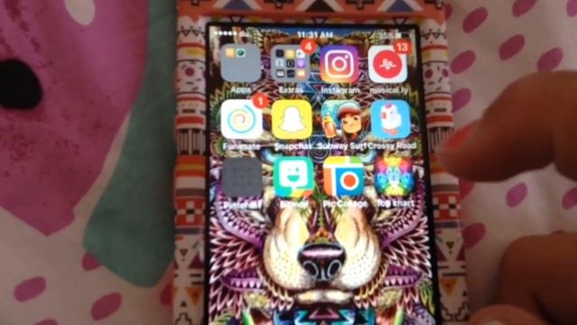 What's in my iPhone 5C