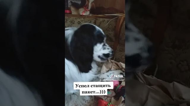 Вкусный пакет...)))