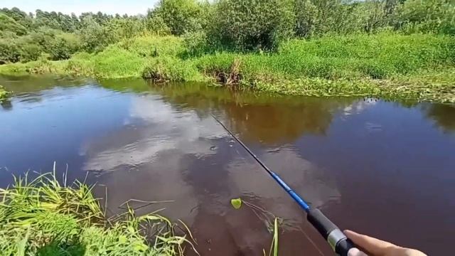 САМОЕ КРАСИВОЕ МЕСТО ПОДМОСКОВЬЯ! Но это не точно. И не клюёт.
