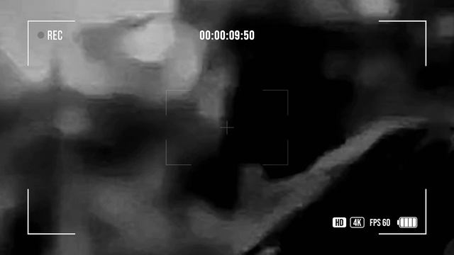 🔥Lady Gaga-Poker face