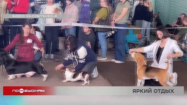 "По весточке": яркий отдых