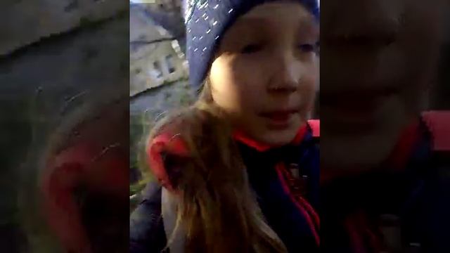 золотые листья