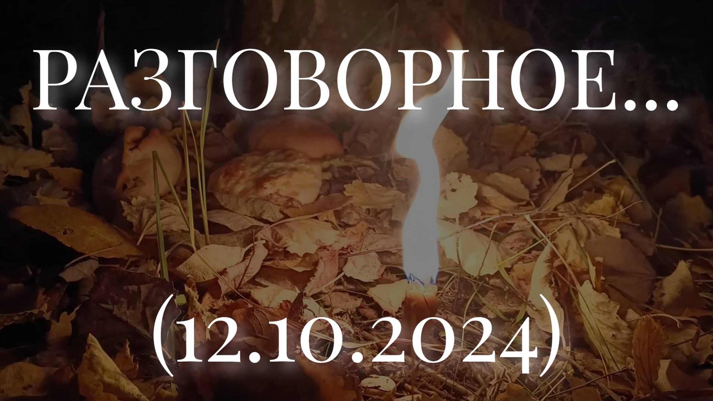 РАЗГОВОРНОЕ... (12.10.2024)