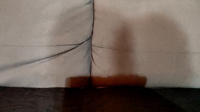 Чисто я когда до нового года осталось 3 месяца