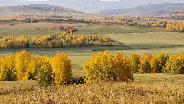 Много нас, но ты у всех едина..