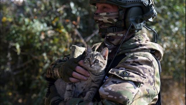 В Курской области возводят понтонные мосты для переправки мирных жителей