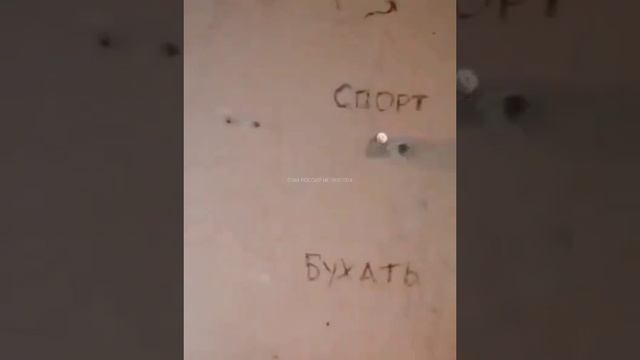 Спорт или бухать?