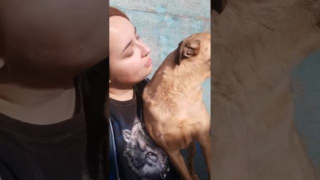 Дюша из приюта Поводог Сочи в ожидании тебя 🐕 можем отправить в любой город