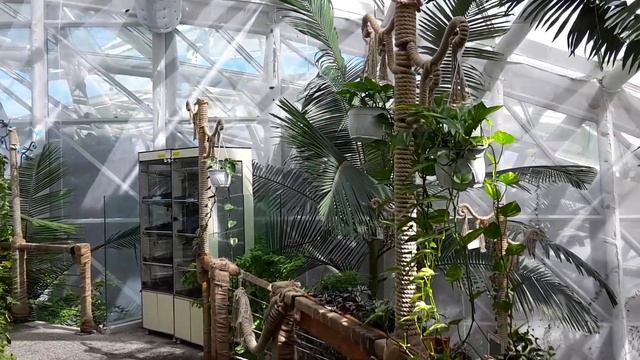 День 15, часть 1. Сад тропических бабочек в Конье