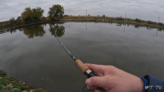 Форелевая рыбалка на коммерческом водоёме🐟💰 Зона безлимит👌Первый опыт ловли форели на спиннинг🎣