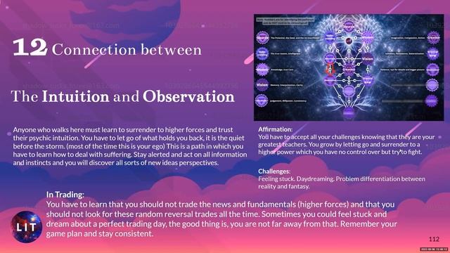 11 Pathway 12 of Intuition and Observation