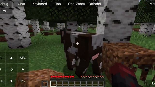 Full Minecraft Java Edition on Jailbroken IPhone 12 using PojavLauncher