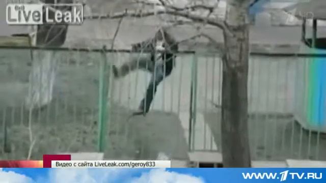 Бывают не только красивые заборы, но и люди. Красавчик.