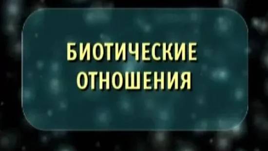 Биология. Биотические отношения в природе