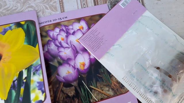 КУПИЛА КРАСИВЕЙШИЕ ЛУКОВИЧНЫЕ ЦВЕТЫ ДЛЯ ОСЕННЕЙ ПОСАДКИ
